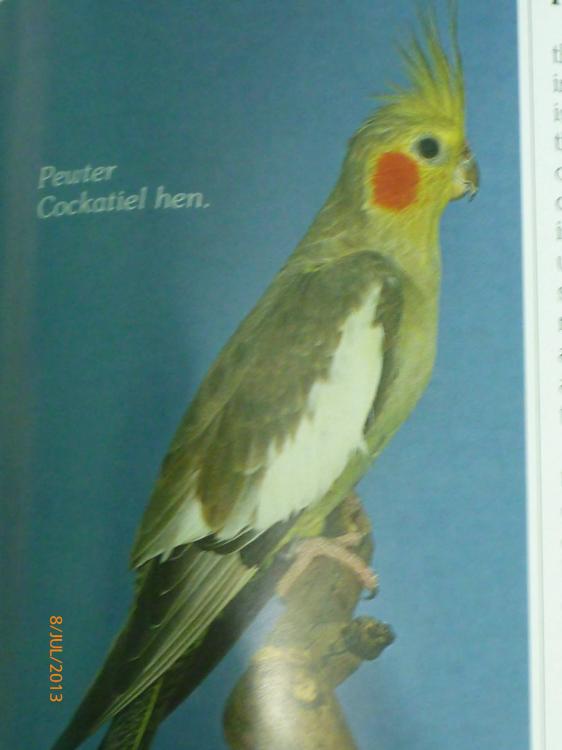 1049095_4417575375879_735113491_o.thumb.