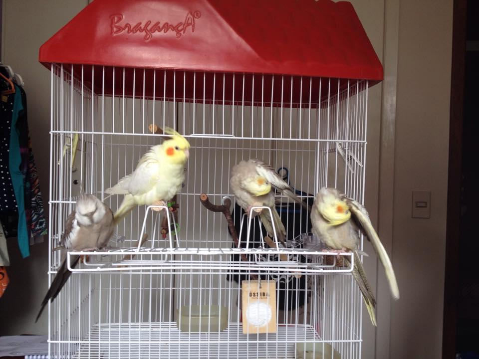 11100918_1000989109966045_757675129_n.th