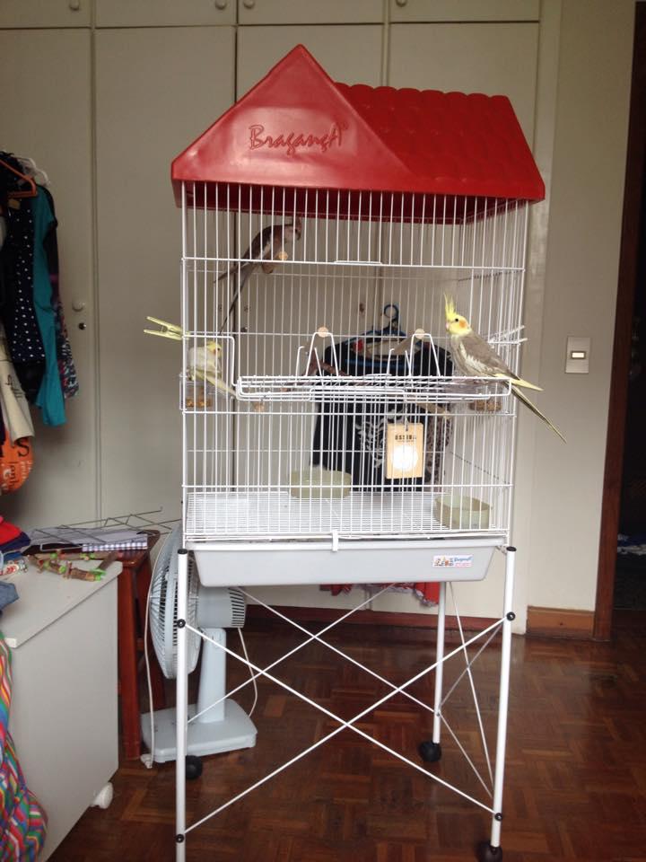 11149124_1000989156632707_1167813465_n.t