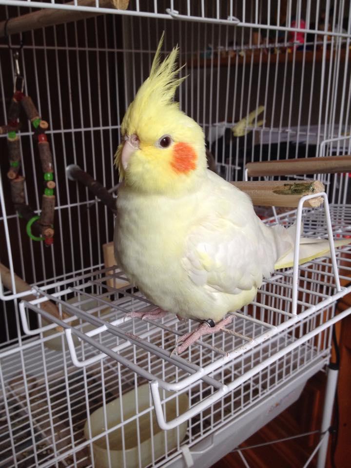 11164154_1011888722209417_1989267192_n.t