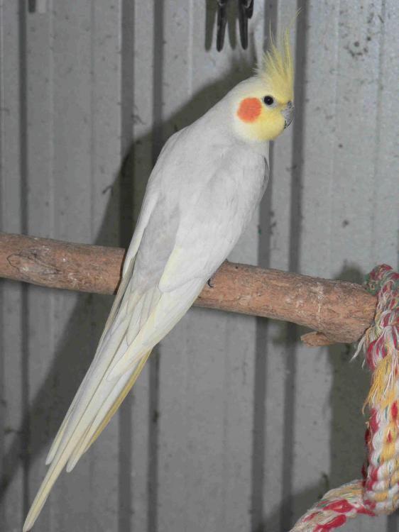 134636.thumb.JPG.3effed4071362625138423f