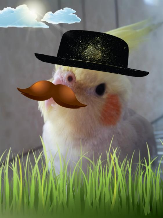 20141204_112319 (2)e.jpg