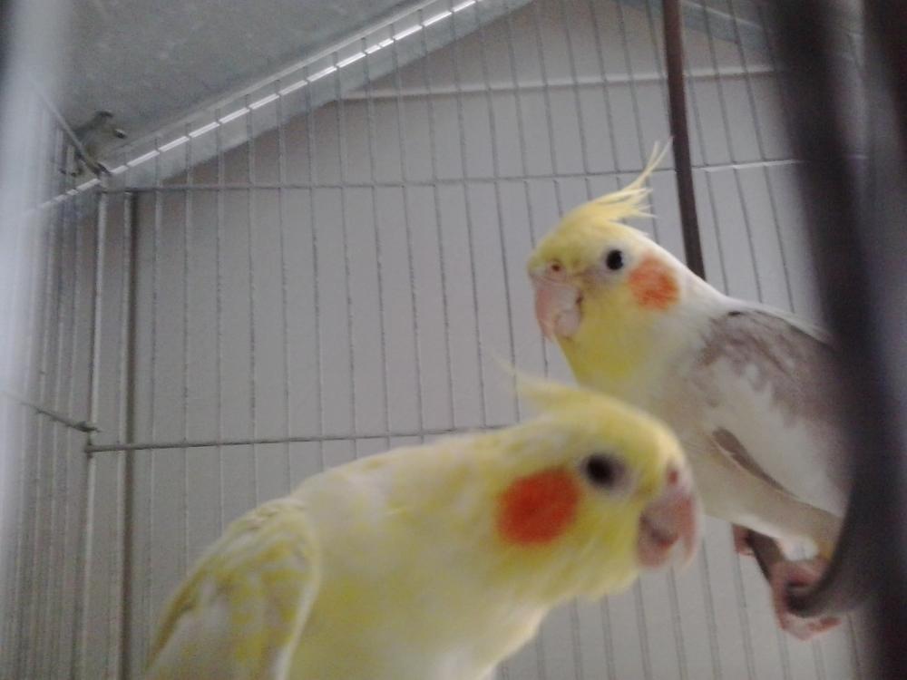 2015-04-03 10.28.31.jpg