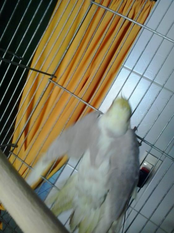 2015-04-08 11.02.59.jpg