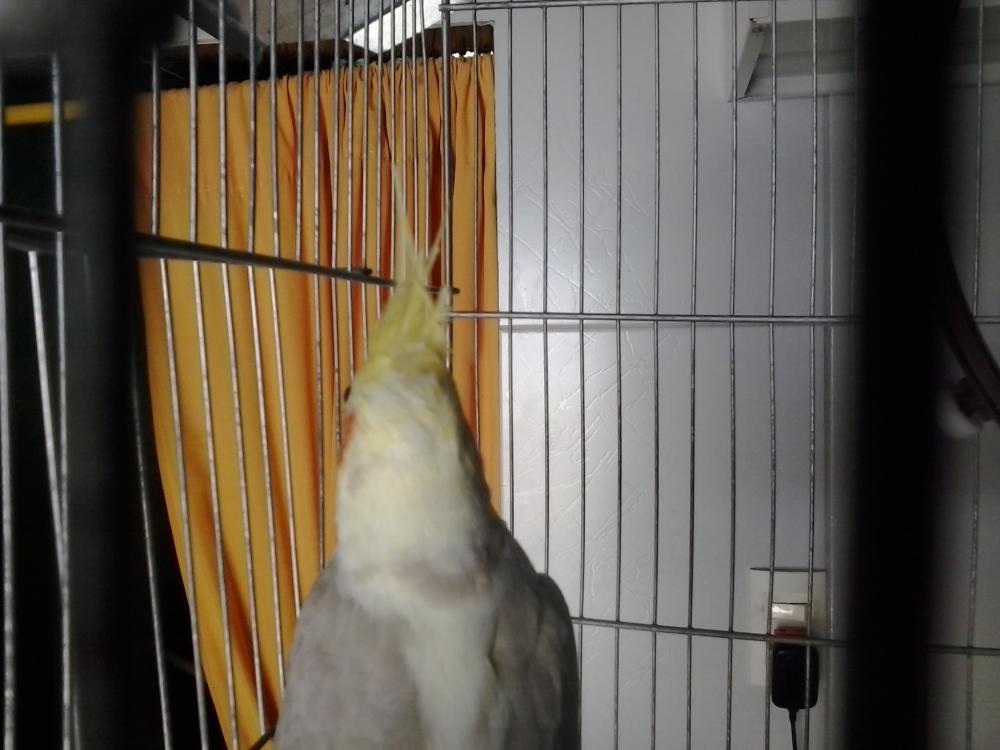 2015-04-08 11.04.32.jpg