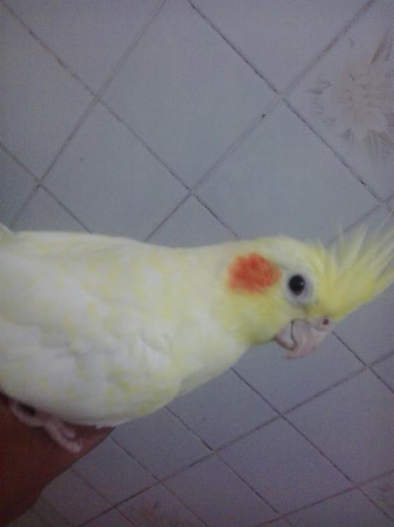 2015-04-15 19.04.56.jpg