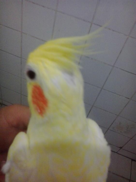 2015-04-15 19.06.40.jpg