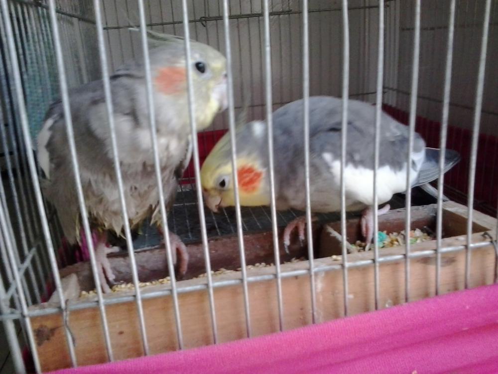 2015-04-19 13.09.27.jpg