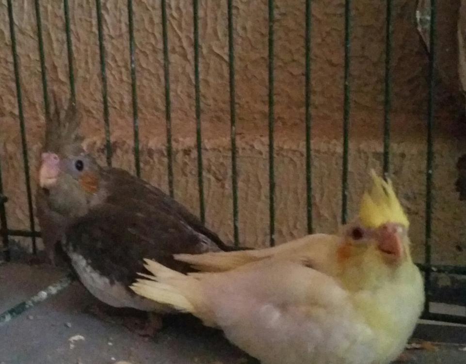 2015-04-22 16.30.09.jpg