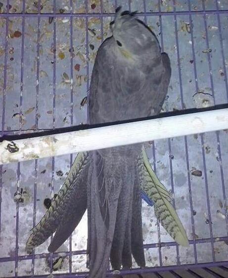 2015-04-25 20.58.04.jpg