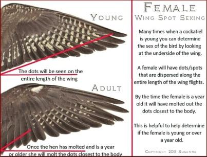 5.thumb.jpg.03cb3e8e1b96cdc71e49b7494fe9