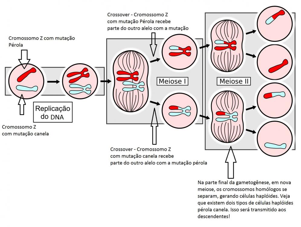 903945_10200839235501546_132707752_o.thu
