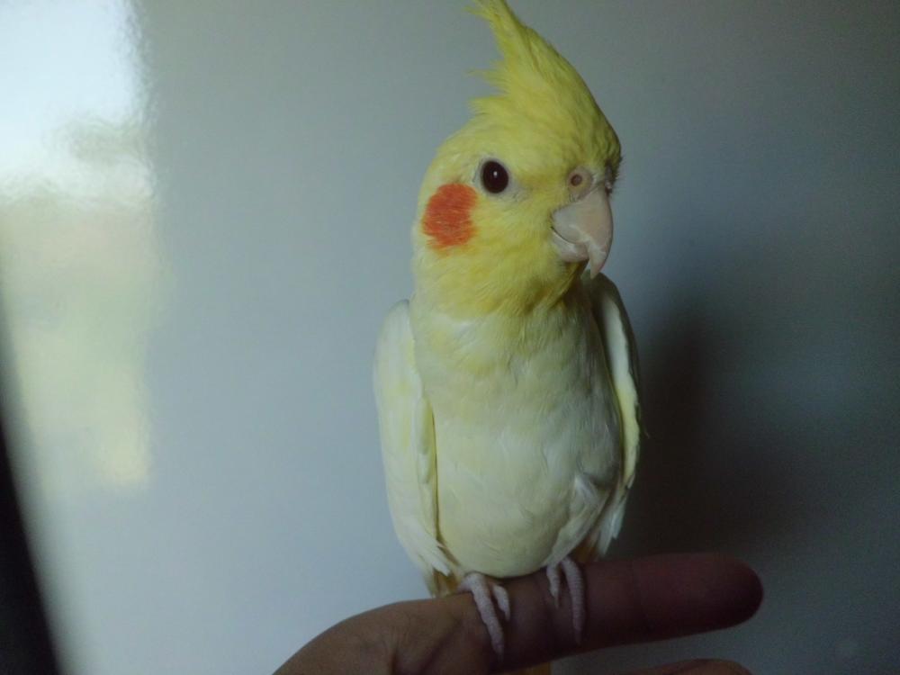 CIMG0515.thumb.JPG.60f1447635b80316ed178