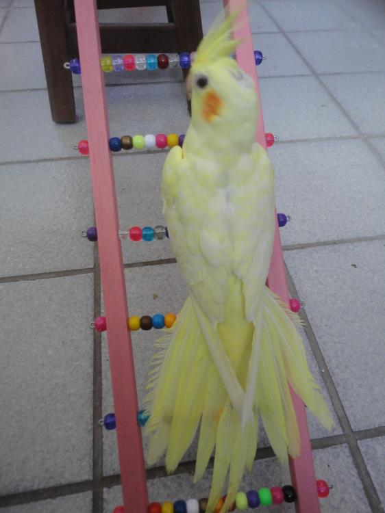 DSC02420.thumb.JPG.e52b3cf998cab3cada1b3