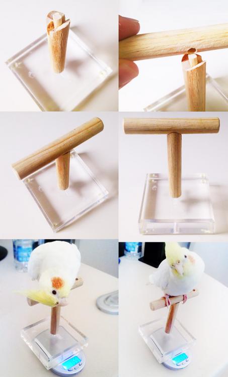 balanca.thumb.jpg.54ed391d193e4550f14071