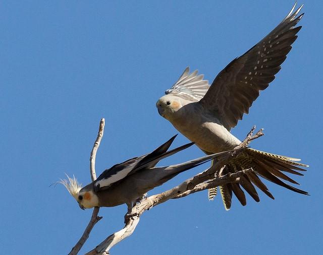 casal.thumb.jpeg.e9d7a00adbaa9288e8ee2ff