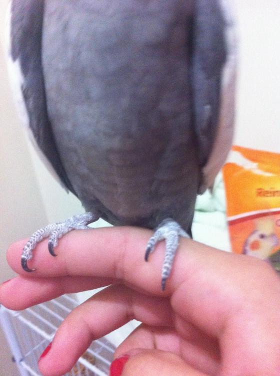 image.thumb.jpg.86476a59c4469d40bb28c5c4