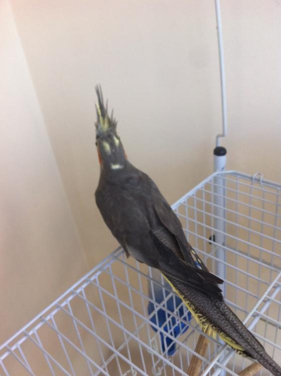 image.thumb.jpg.fb8d48d7210459aaf87faaad