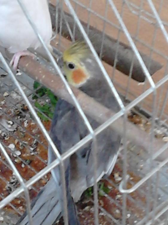 m.thumb.JPG.145db6daaed8fb140bae2c41f6f4