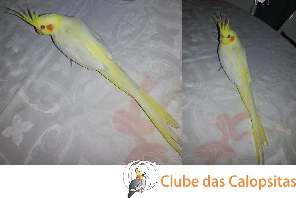 post-21203-0-08819800-1402285416.thumb.j