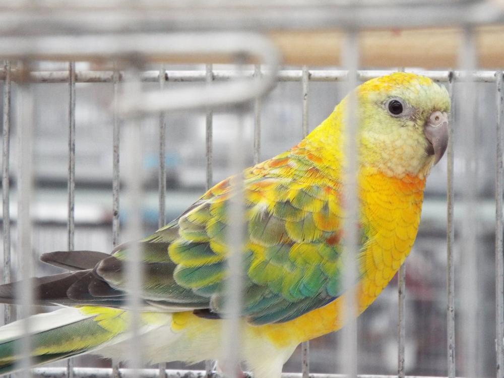 10012171_840455586030088_373225362142382