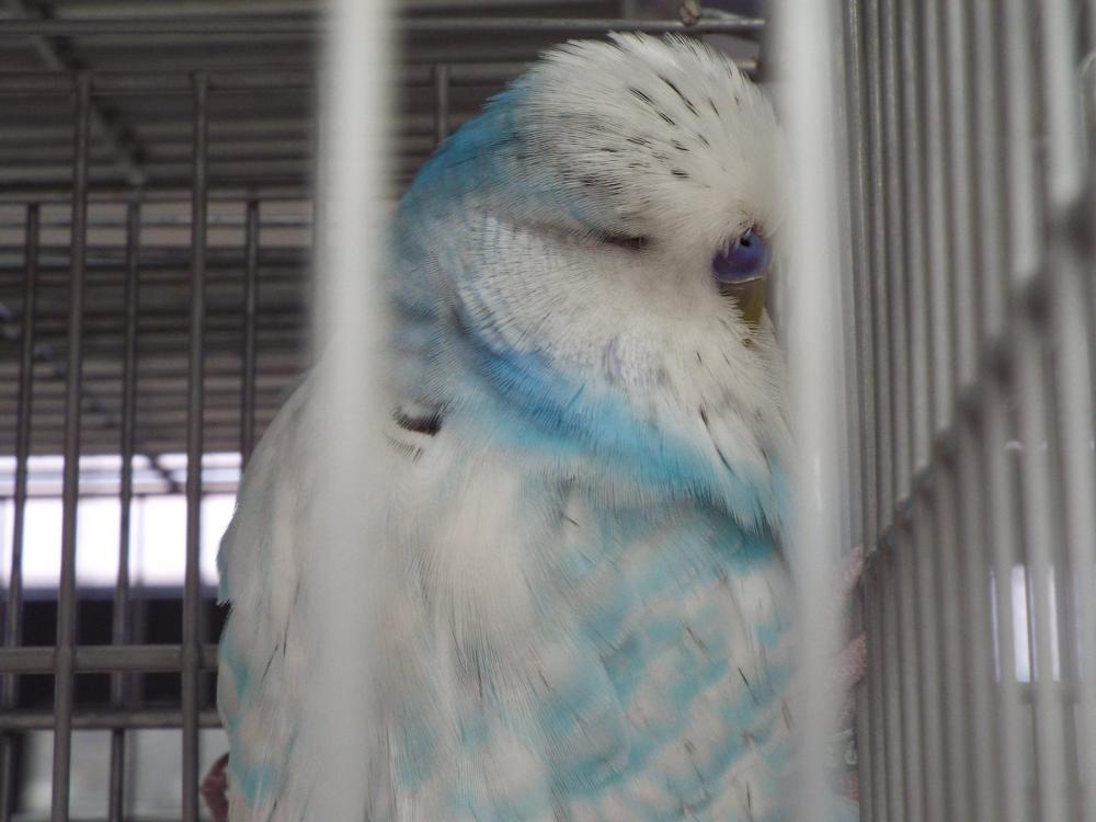 10480058_840487442693569_304482145837716