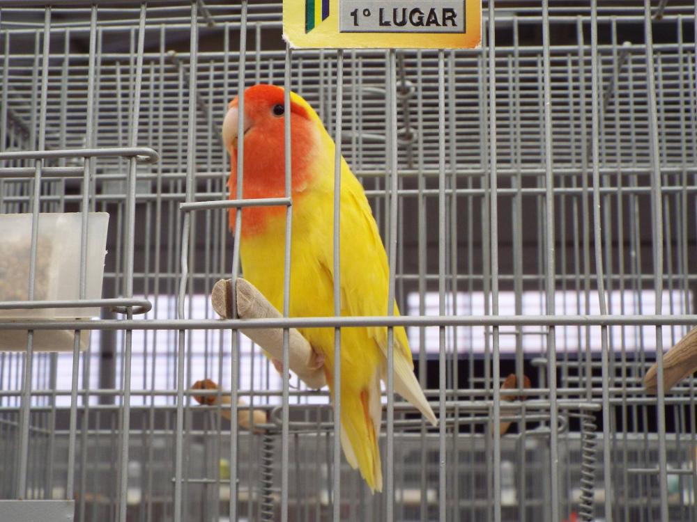 10483827_840487349360245_834218779946078