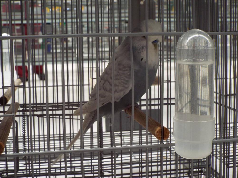 10497373_840487482693565_275766501887348