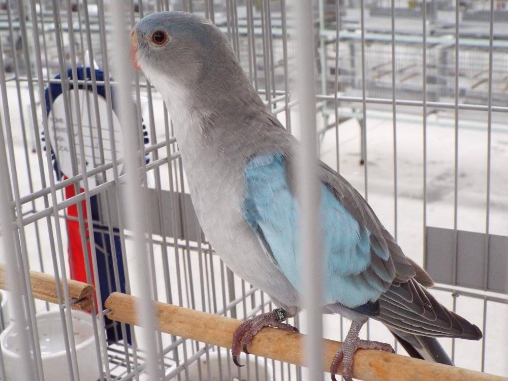 10658600_840476486027998_501450062777922