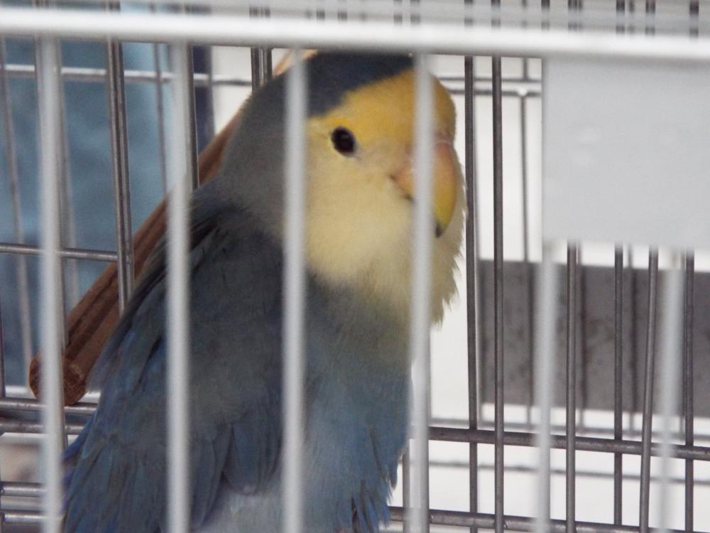 10710456_840487376026909_597586035828374