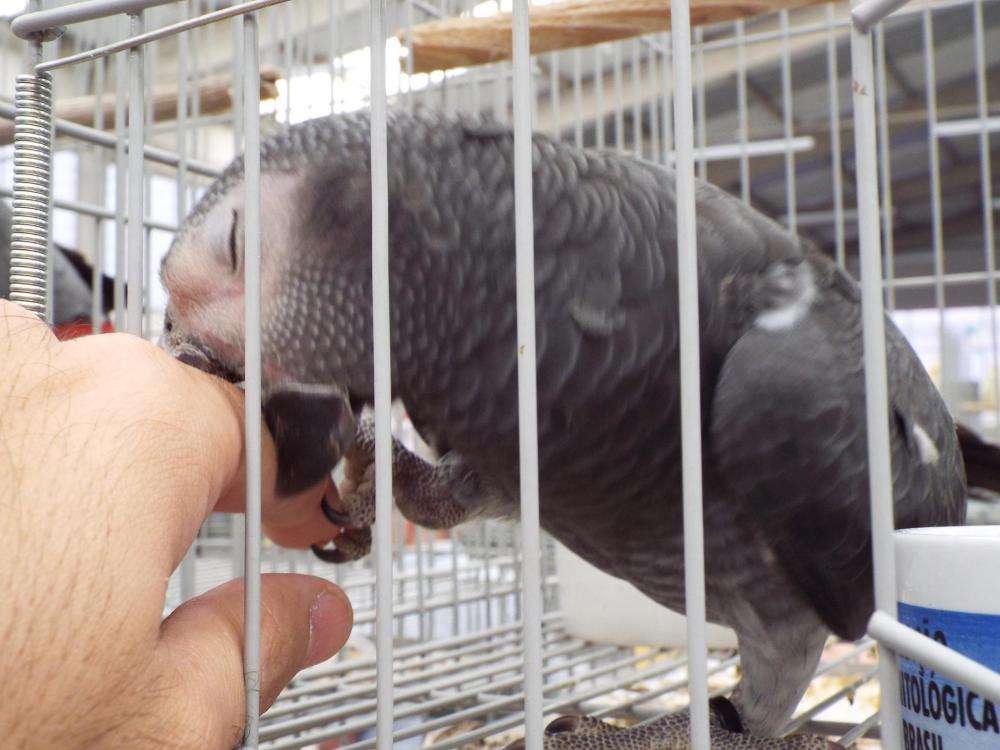 10835315_840476582694655_509201291521564