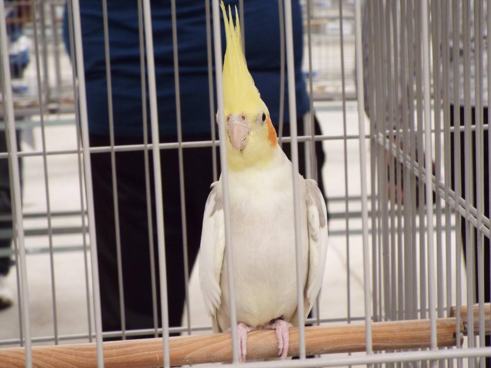 10845845_840476406028006_535978307080190