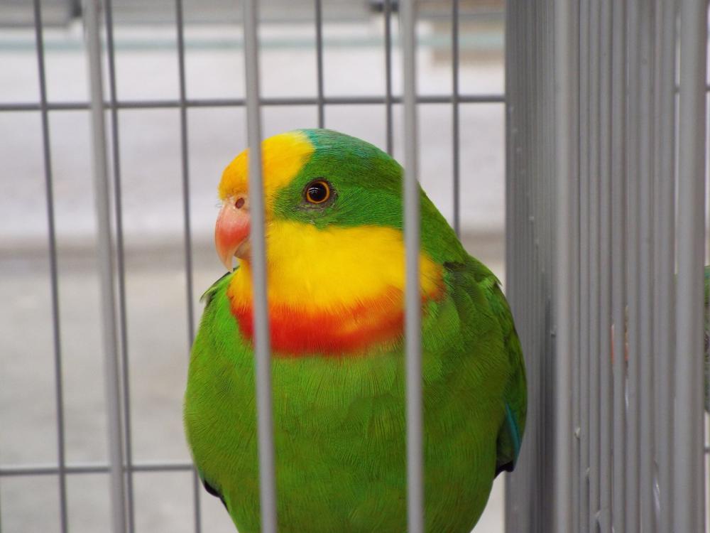 11009935_840454916030155_922203955983358