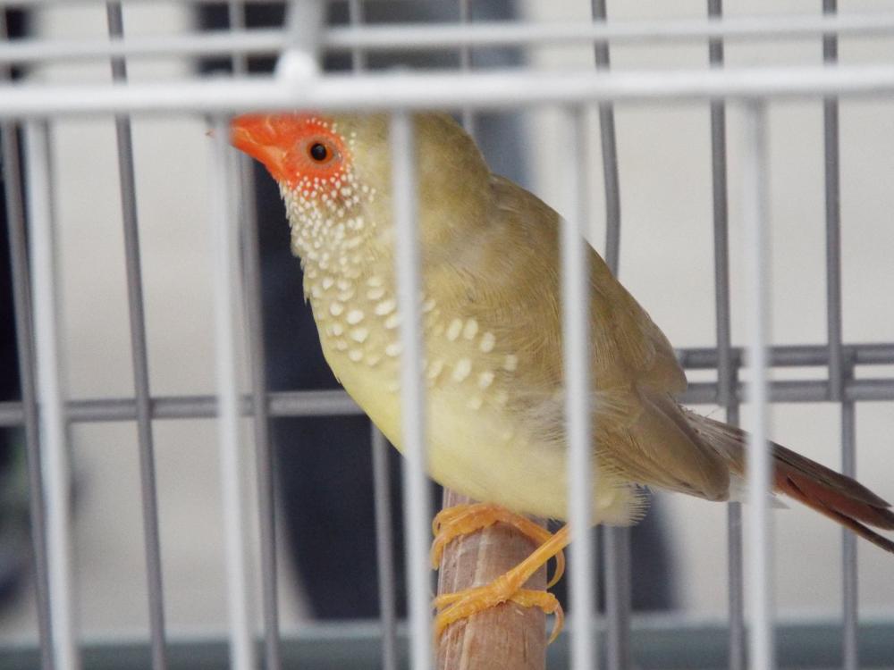 11038279_840455509363429_423621557925675