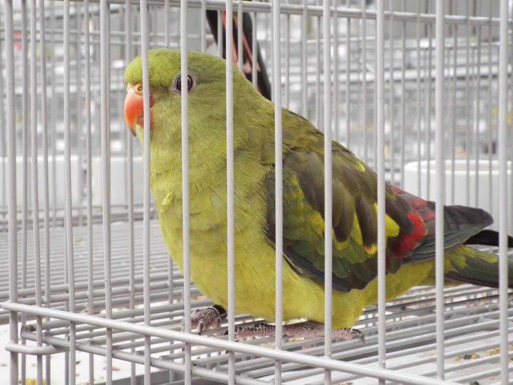 11048704_840476436028003_274360554758341