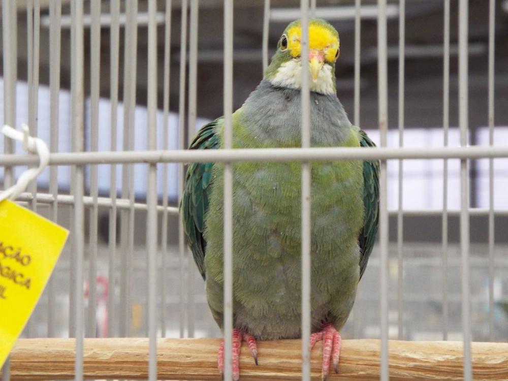 11050765_840476292694684_811672802296432