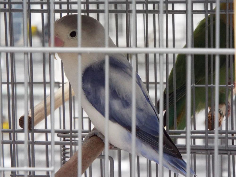 11078093_840487426026904_562208322869129