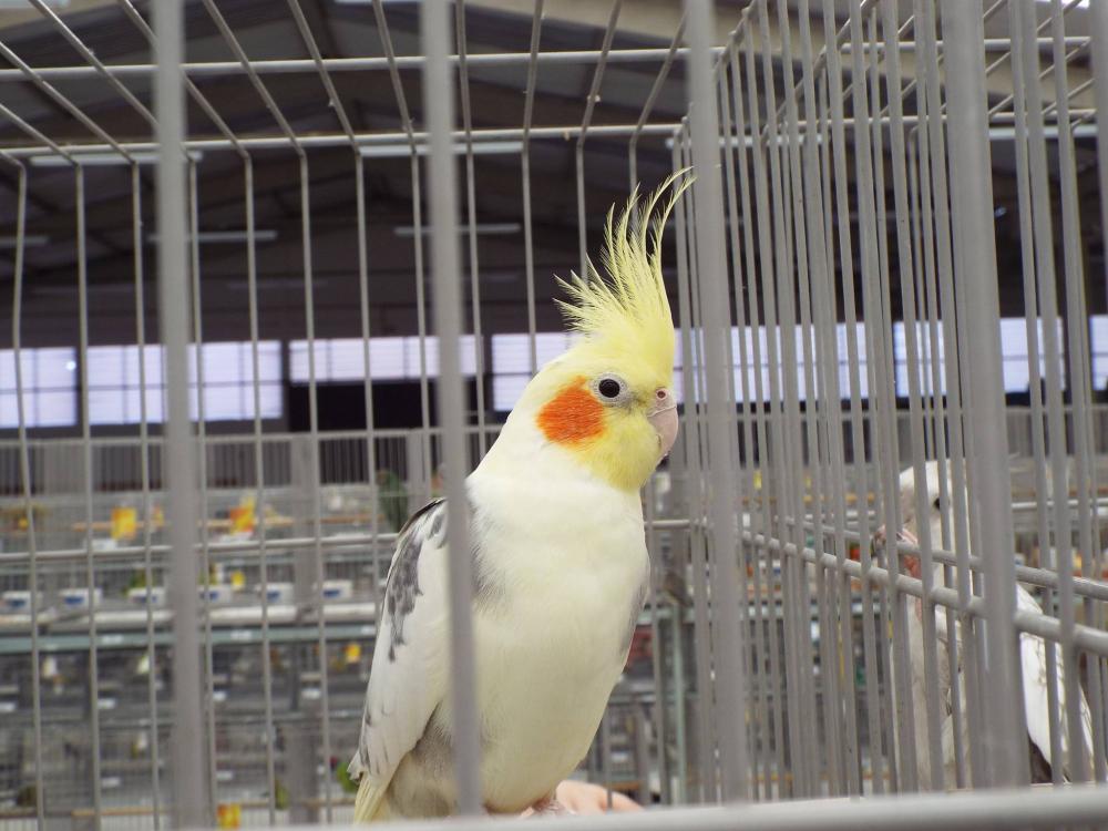 11080543_840476689361311_156215178535494