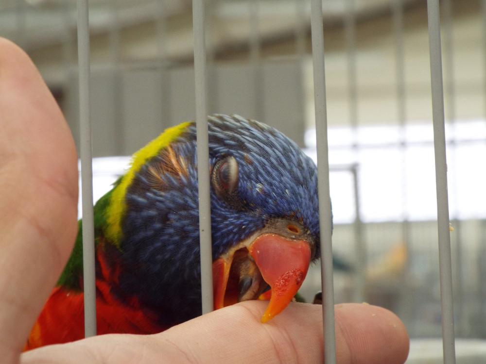 11083971_840476396028007_773388139244436