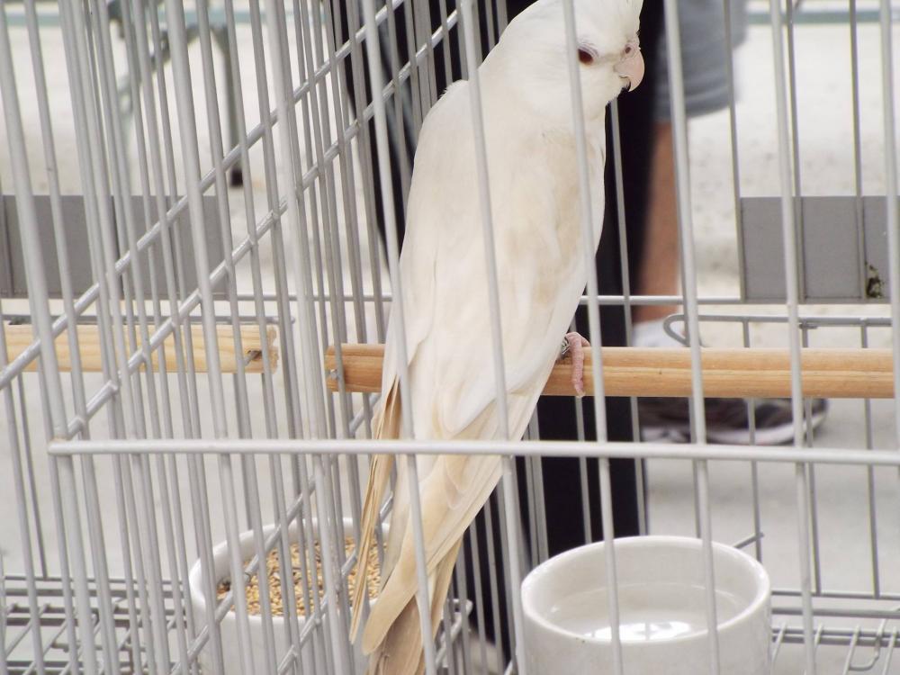 11087399_840476376028009_723367765187450