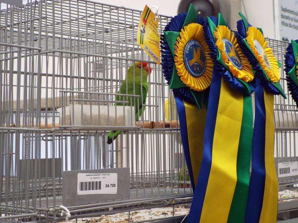 11136221_840487369360243_100089822719976