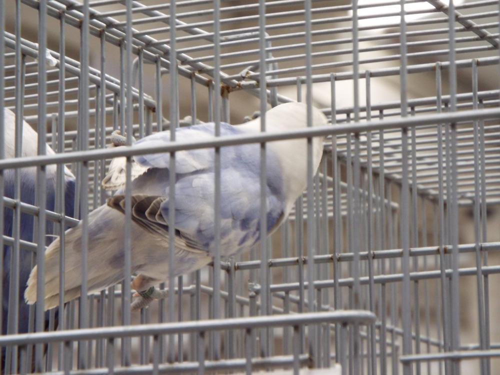 11149652_840487386026908_320991111002245