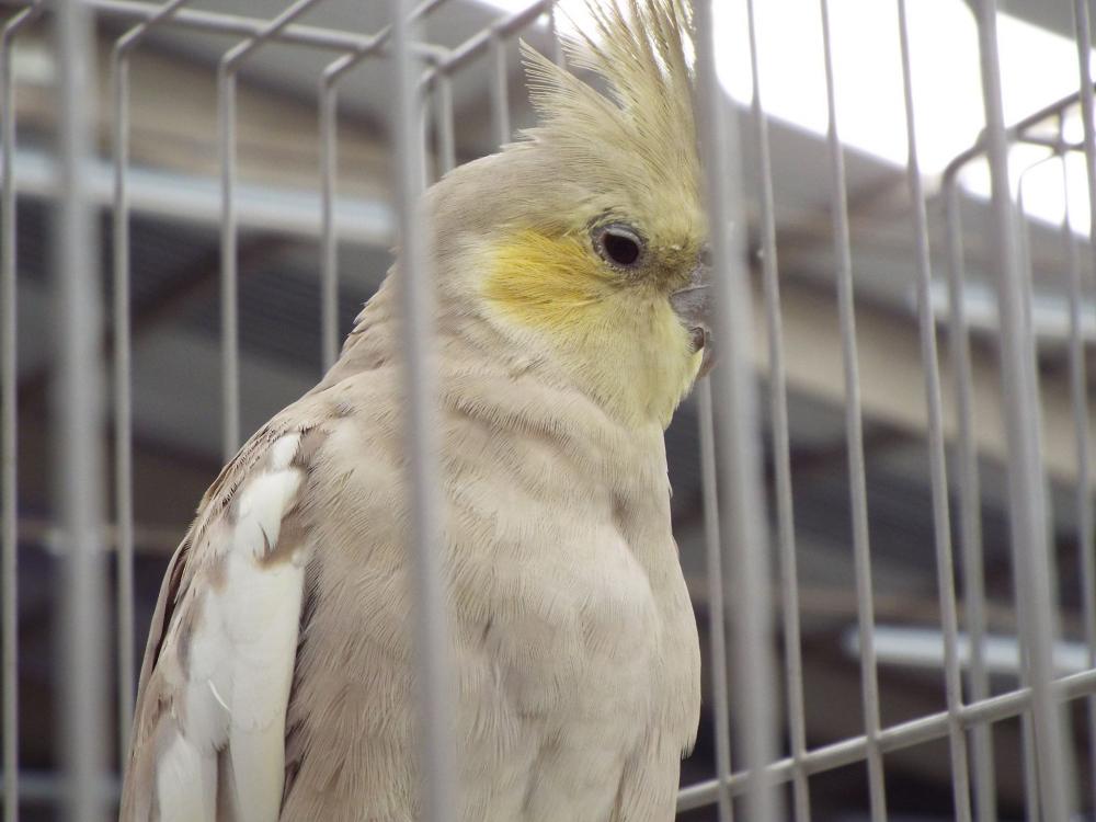 11149761_840476539361326_227823642232595