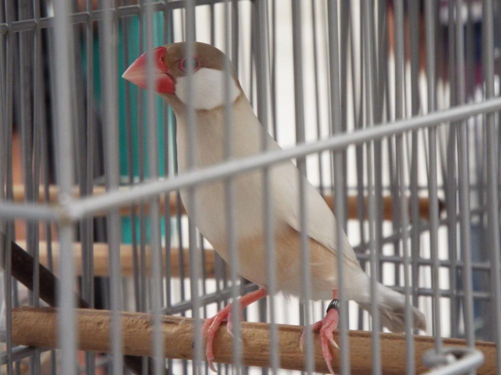 11149824_840476246028022_377294082224616