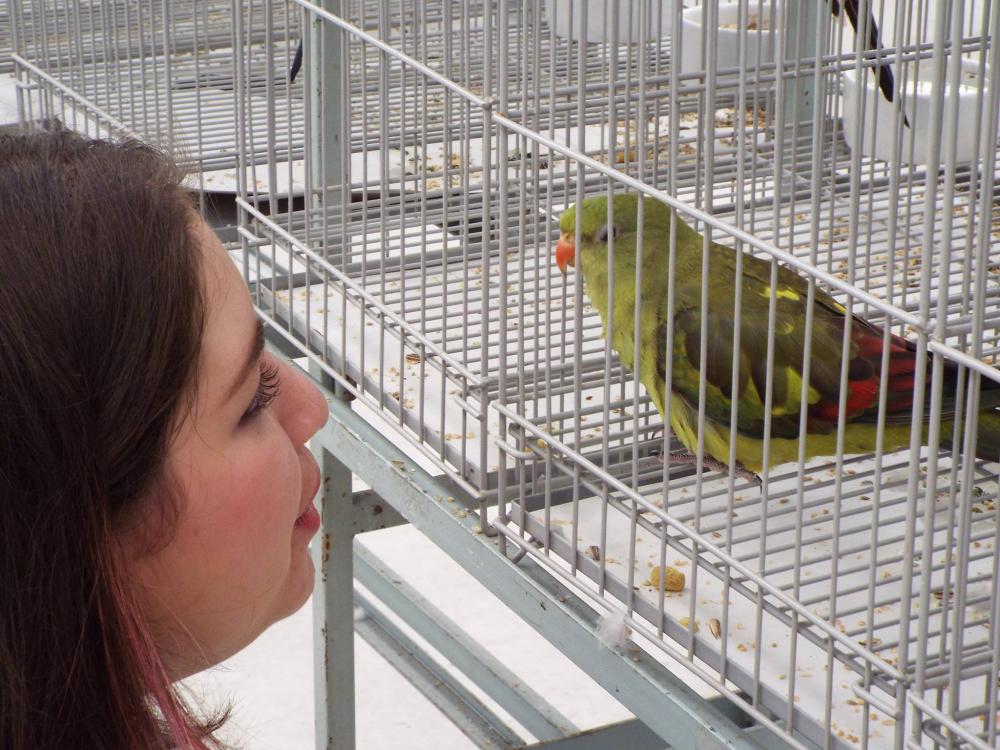 11155021_840476469361333_112963378023441