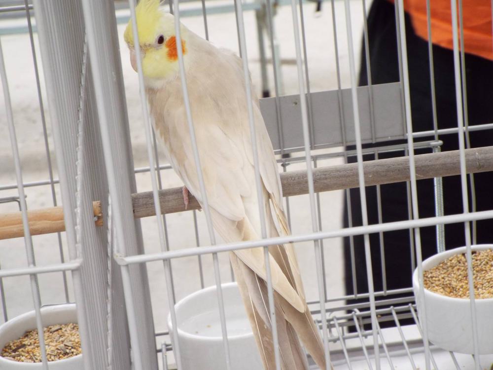 11155147_840476366028010_894599768910256