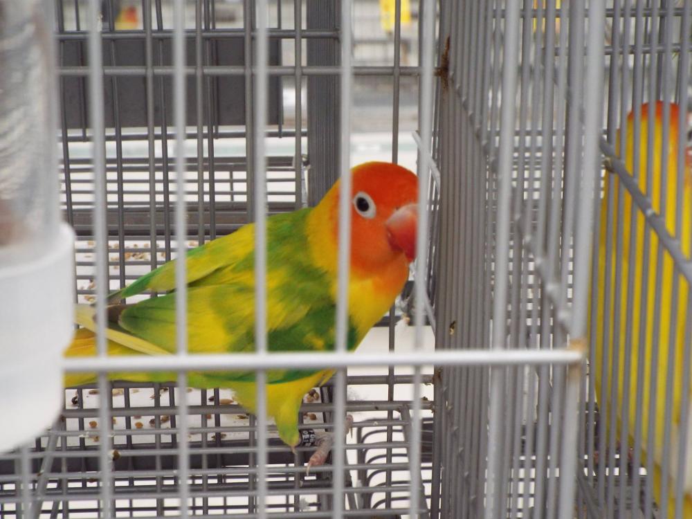 11157567_840487336026913_120112715181034