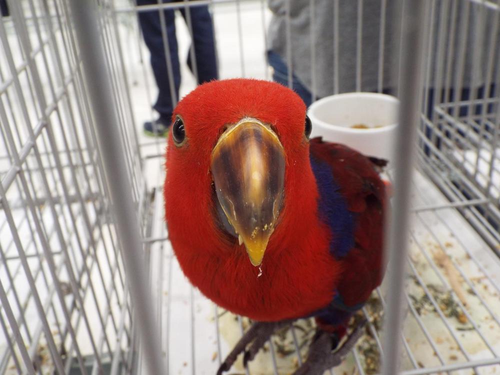 11162068_840476679361312_748373978589562