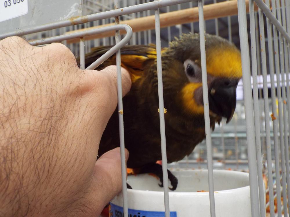 11164565_840476192694694_530551609934652