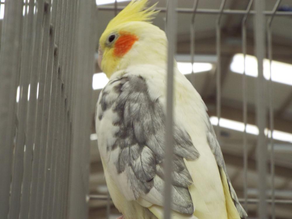 11164581_840476176028029_633659843053631